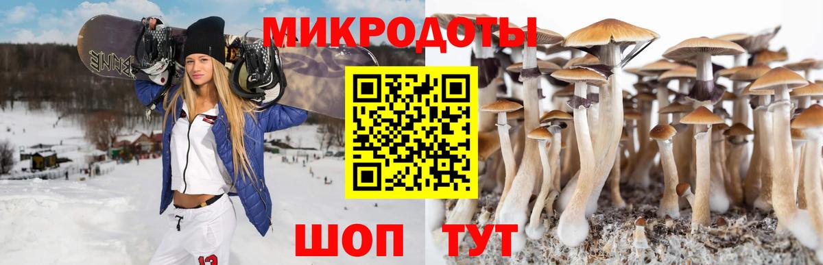 Галлюциногенные грибы прущие грибы  Вход с VPN  Новодвинск  Галлюциногенные грибы Cubensis 